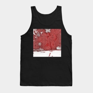 Snow White & Brick Red Tank Top